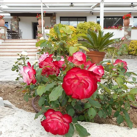 La Quietude Les Issambres