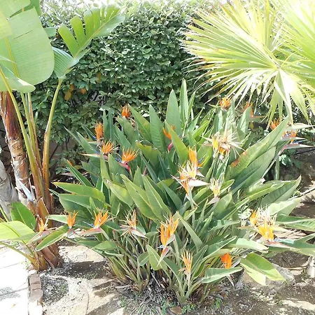 Hotel La Quietude Les Issambres