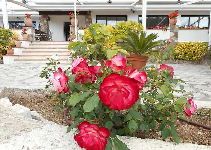 La Quietude Les Issambres