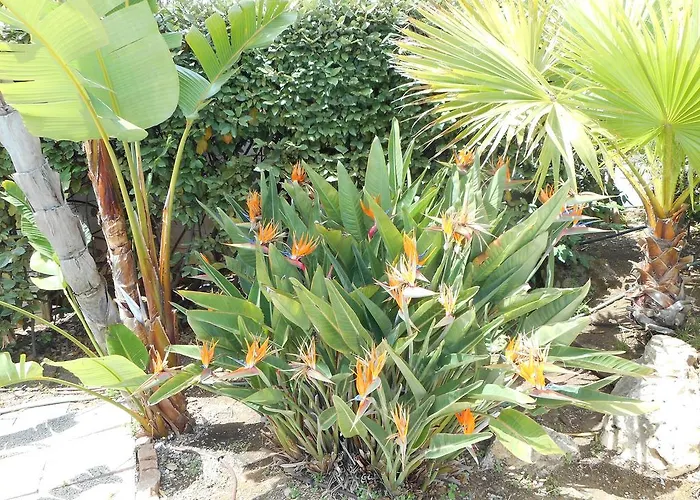 Hotel La Quietude Les Issambres