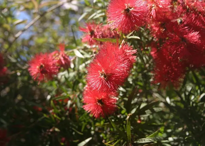 Hotel La Quietude Les Issambres